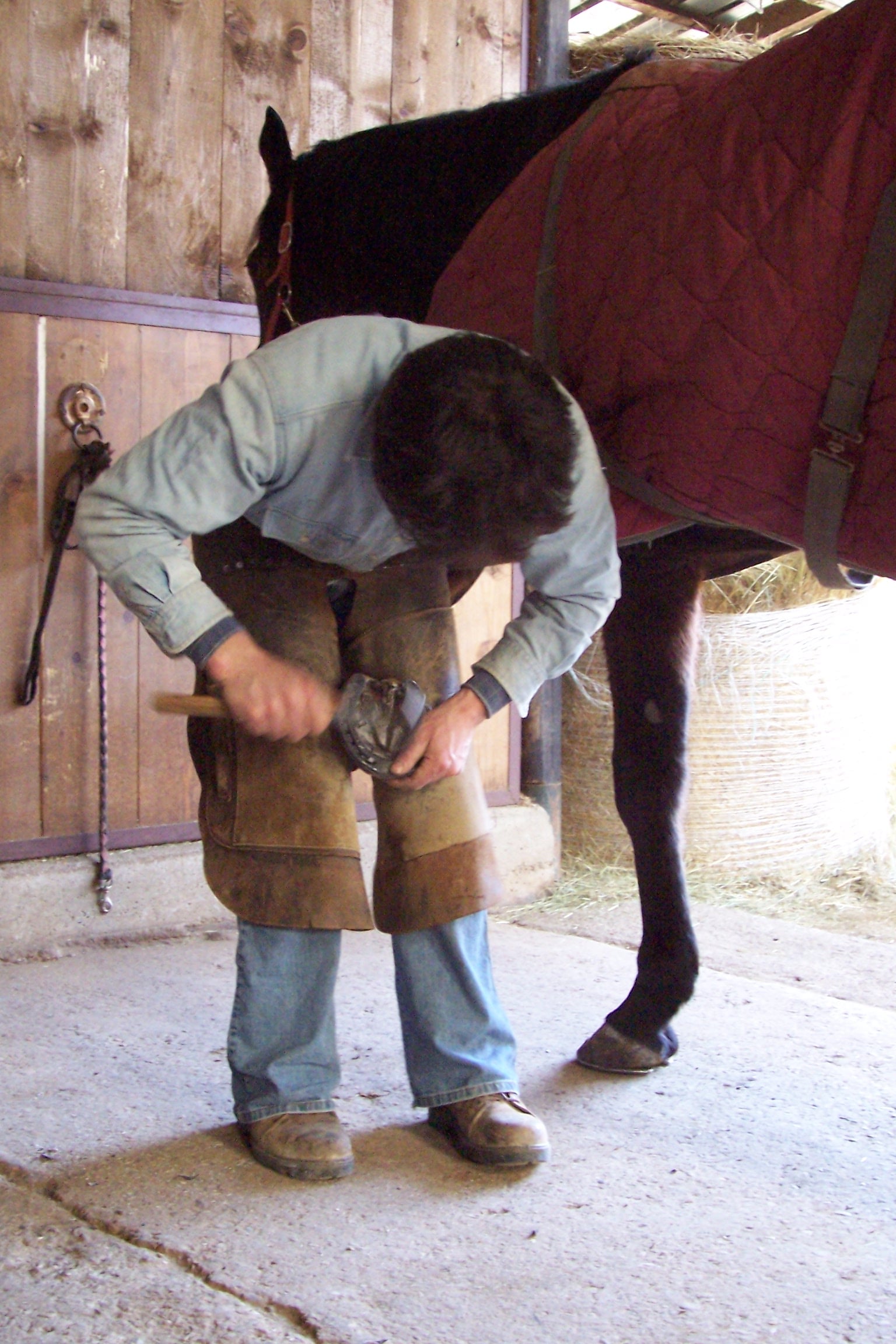 A person in blue jeans and a workshop apron trims a horse’s hoof inside a stable while the horse stands calmly, wearing a maroon blanket.