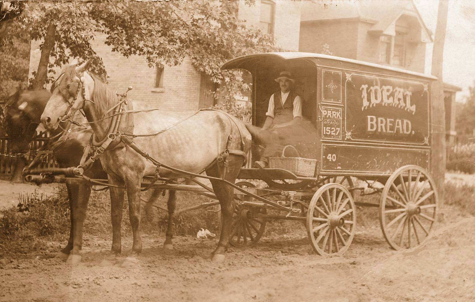 A vintage photo of a horse-drawn bread delivery wagon labeled “Ideal Bread.” A man sits in the wagon and houses are visible in the background.