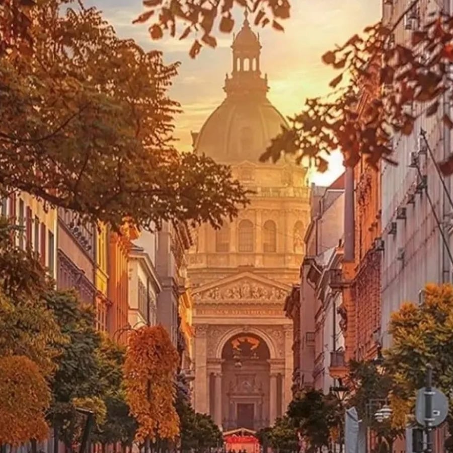 A tree-lined street leads to a grand domed building at sunset, with autumn leaves framing the scene and warm golden light illuminating the architecture.