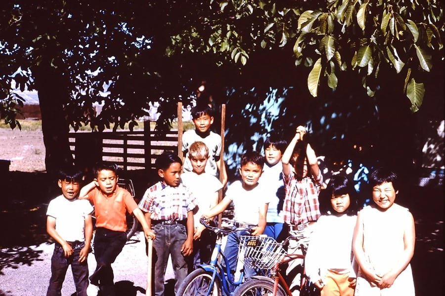 A group of children stand together outdoors in the shade, some smiling and others looking serious. Two bikes are in front, and leafy branches hang above. The background includes a fence and open landscape.