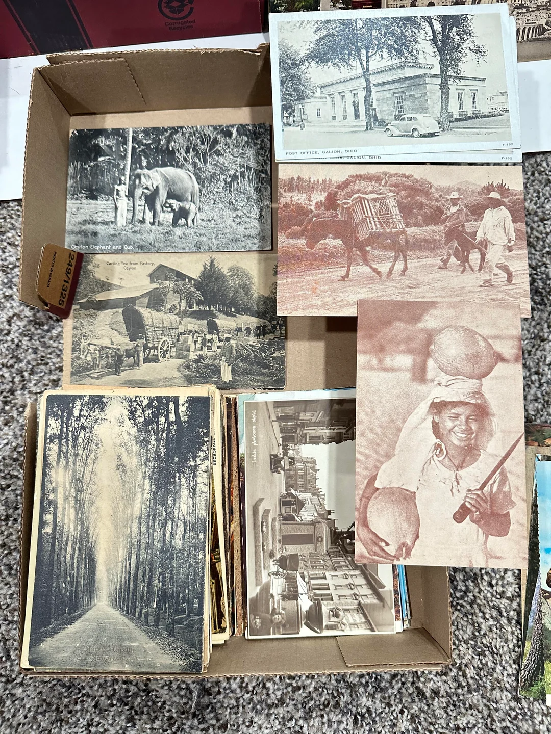 A box of vintage black and white postcards sits on a carpet; images show elephants, people, trees, buildings, and a library. Some postcards are partially stacked or leaning on the box.