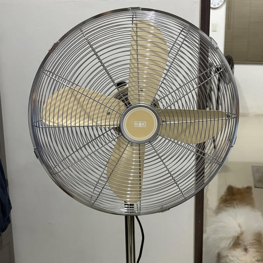 A large standing electric fan with three beige blades is in the foreground. In the background, a fluffy dog stands near a glass door on a tiled floor.