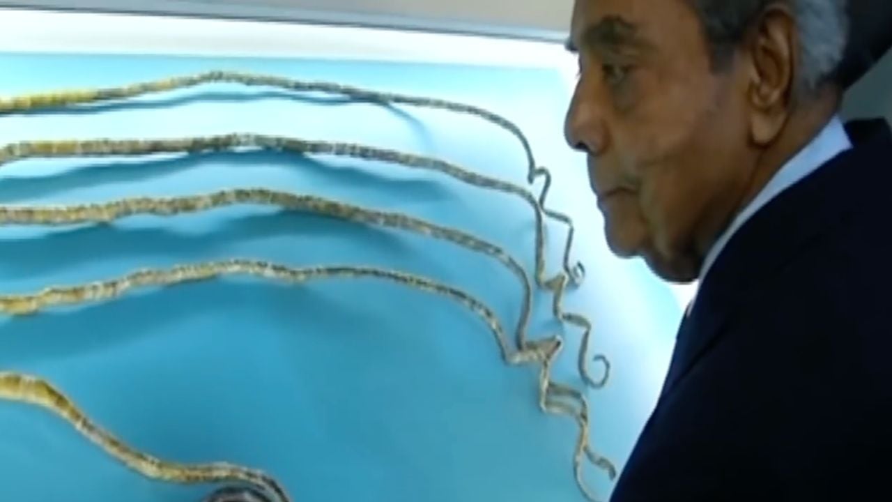 A man in a suit looks at several extremely long, curled fingernails displayed against a blue background.