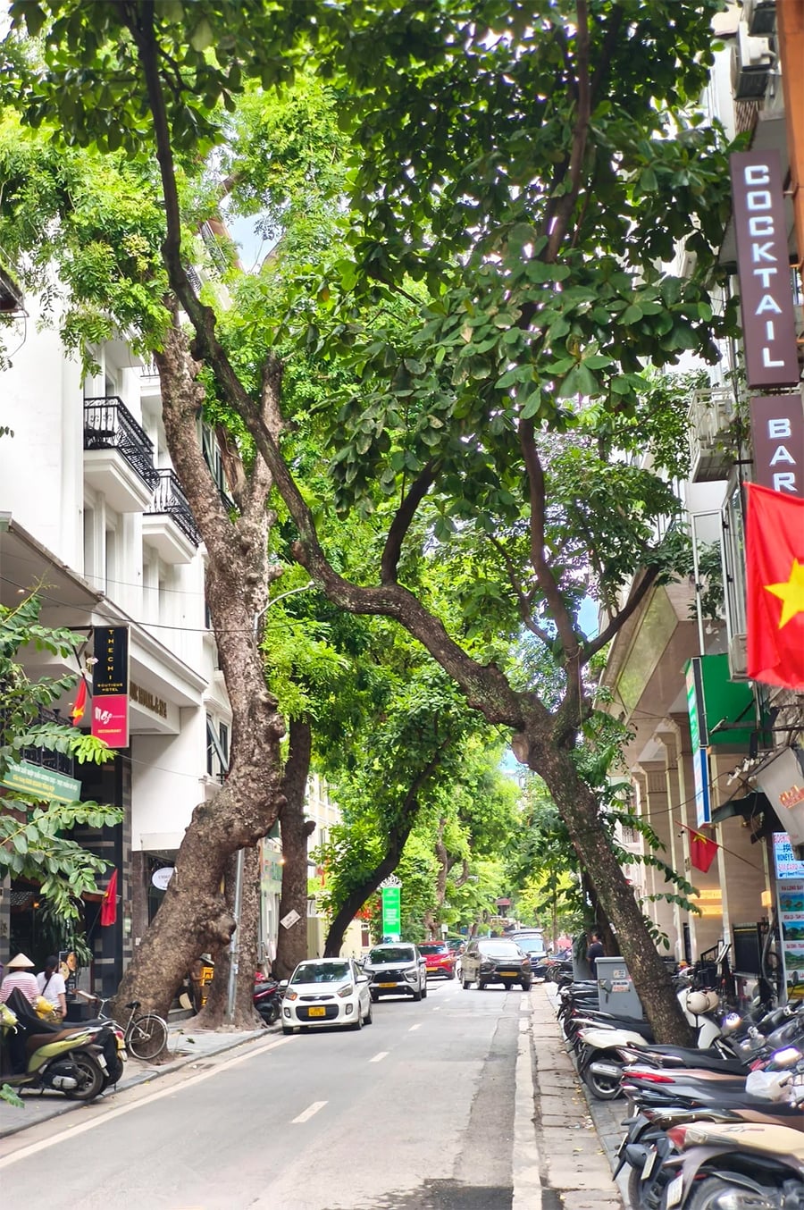 A lively city street lined with parked scooters and cars, tall leafy trees arching over the road, and various shop signs and flags displayed along the buildings.