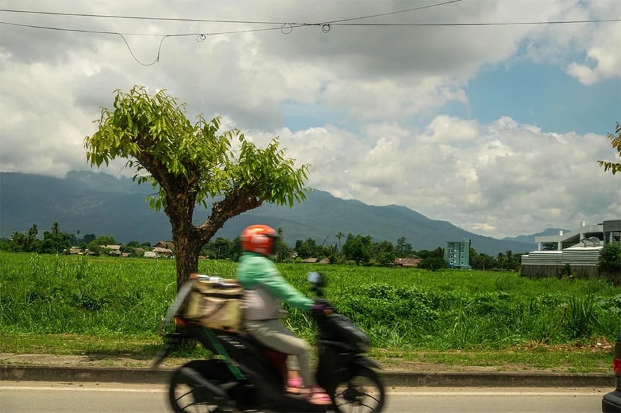 A person wearing a helmet and green jacket rides a scooter past a tree and green field, with mountains and clouds in the background.