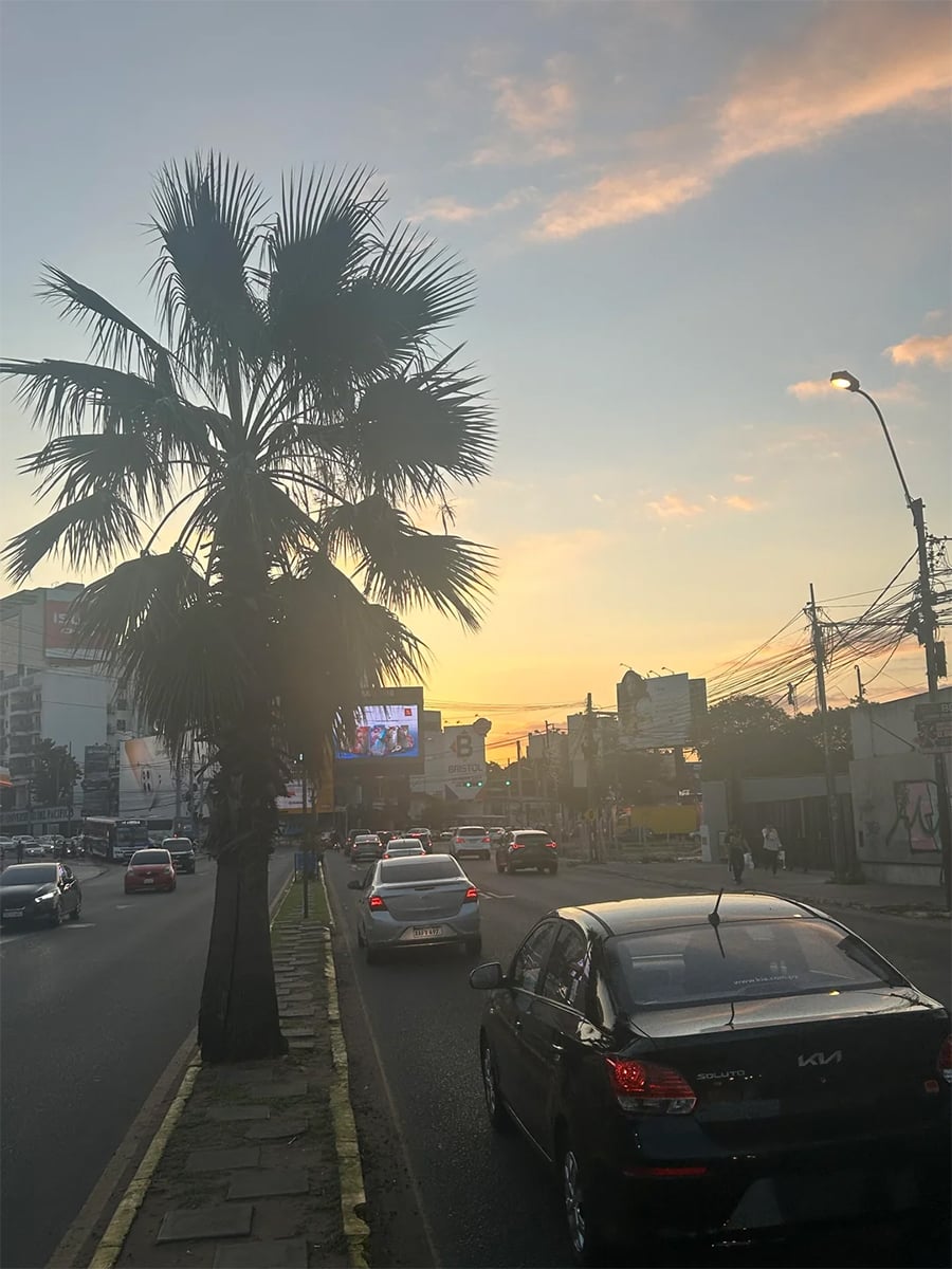Cars drive down a city street at sunset, with a palm tree in the median and billboards and power lines visible in the background.