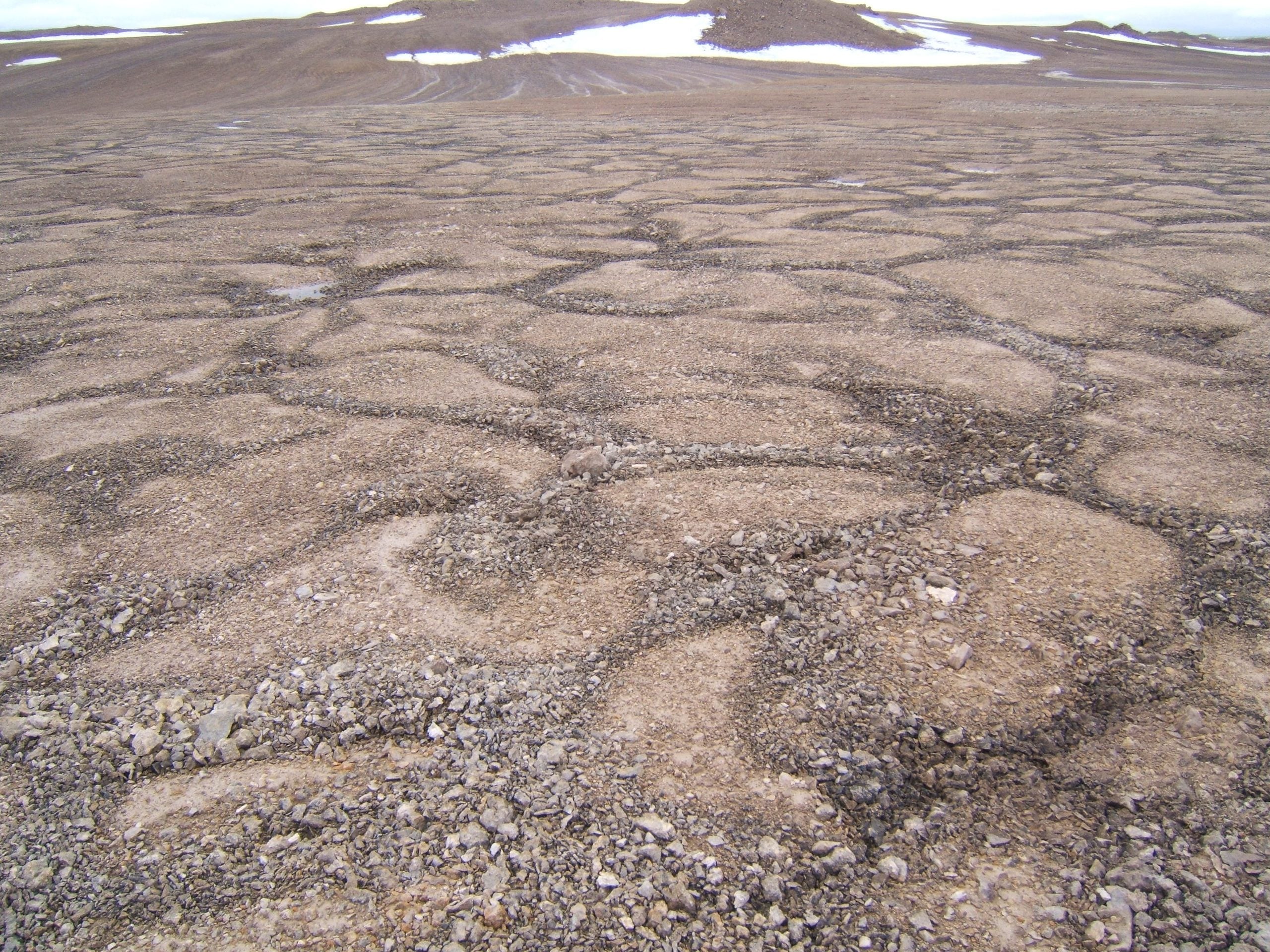 A landscape of patterned ground consisting of stone polygons in a barren, rocky terrain with patches of snow on the distant hills.