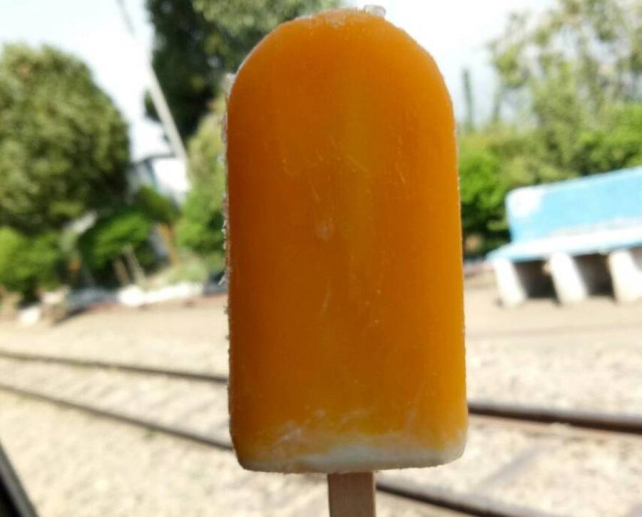 An orange popsicle on a wooden stick held up against a blurry outdoor background.