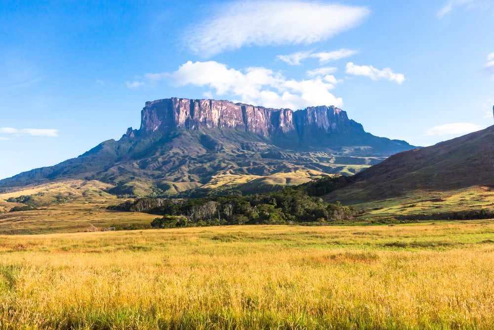 A flat-topped mountain rising above a grassy savanna under a blue sky with scattered clouds.