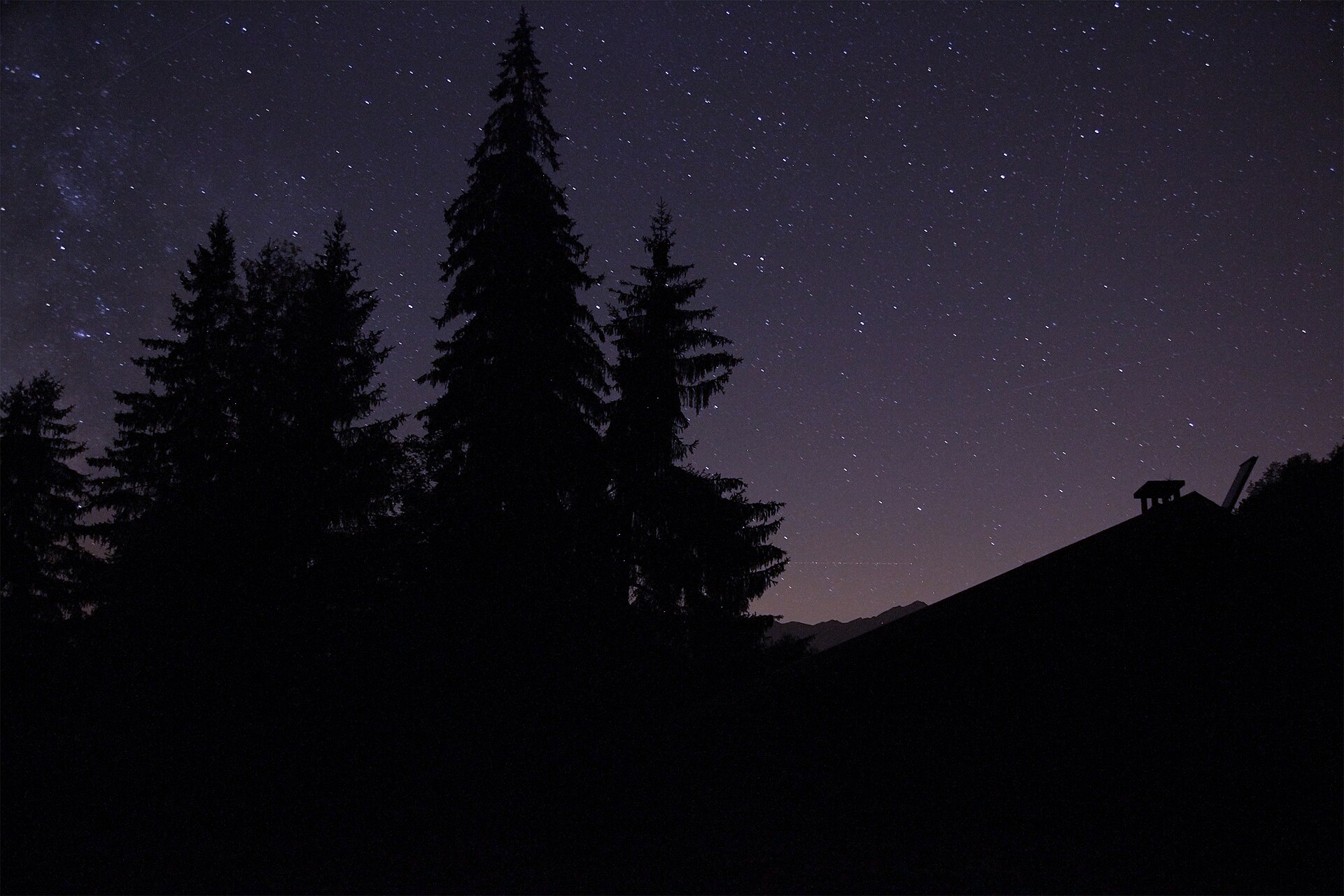 Silhouetted pine trees against a starry night sky next to a rooftop.