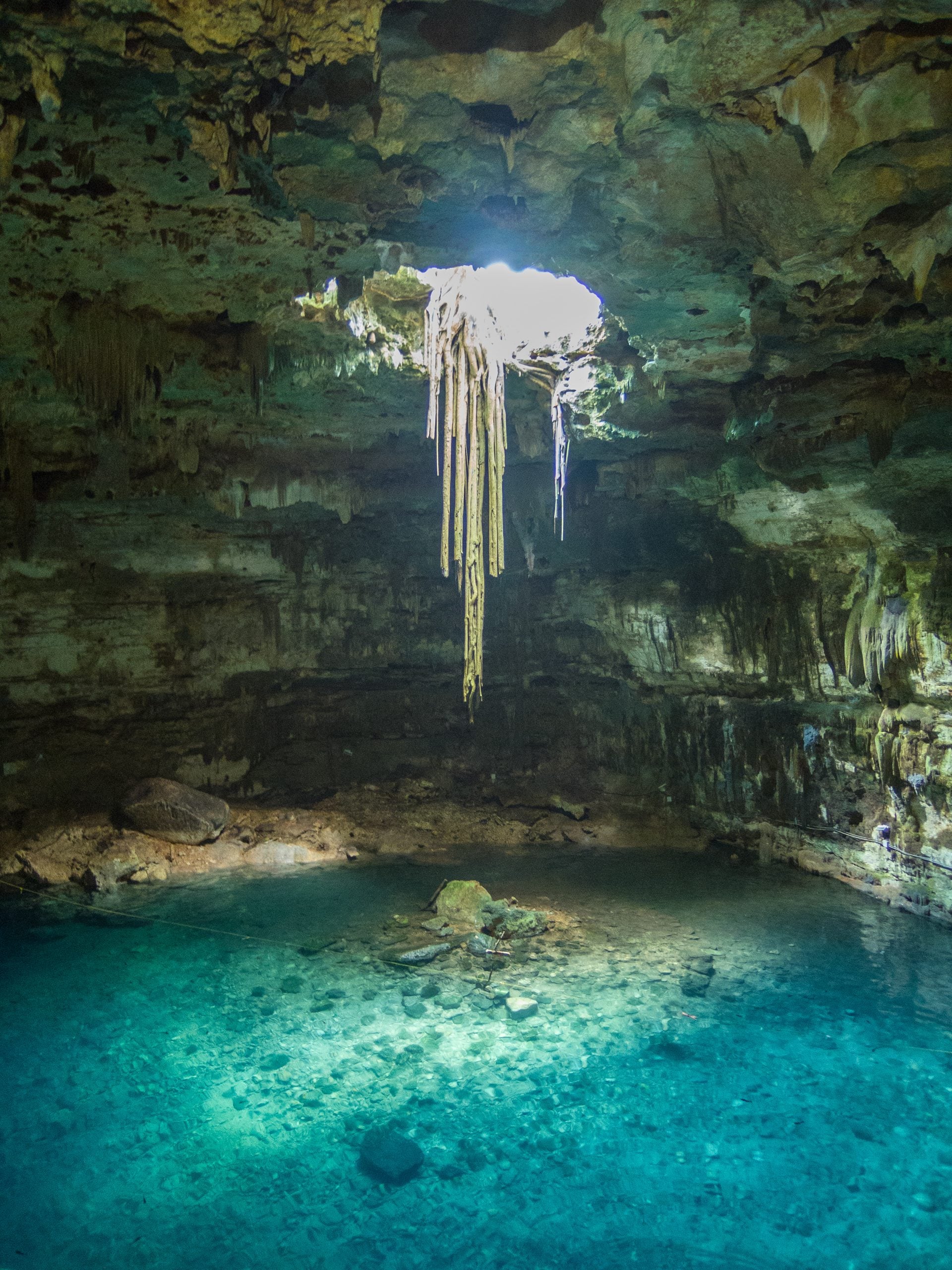 A cenote with turquoise water and a large opening in the cavern ceiling, from which long tree roots hang down toward a small central rock formation.
