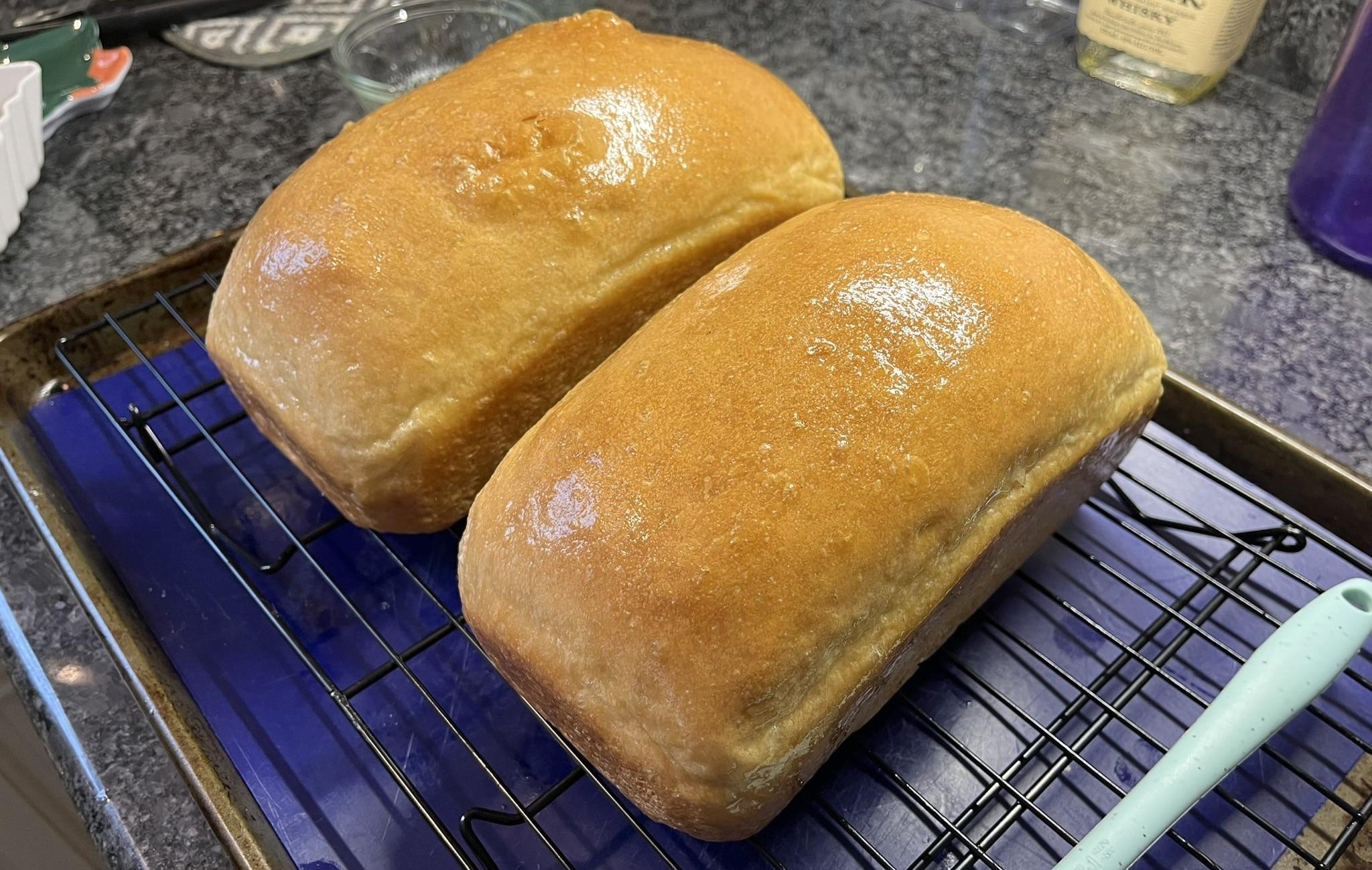 Two freshly baked loaves of bread with shiny, golden-brown crusts are cooling on a wire rack set over a baking tray in a kitchen setting.