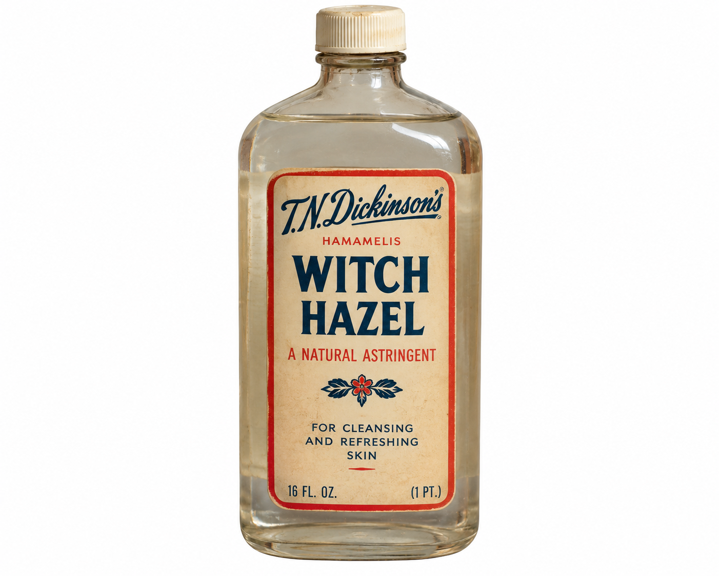 A bottle of T.N. Dickinson’s Witch Hazel natural astringent.