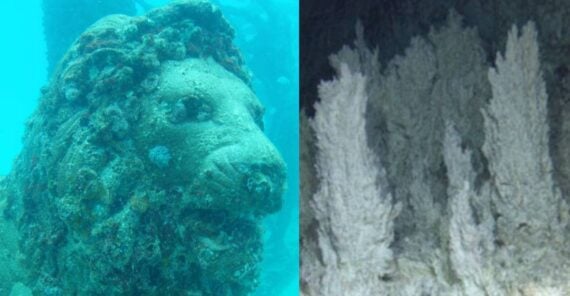 Underwater side-by-side view of a stone lion sculpture covered in marine growth next to jagged white coral formations.