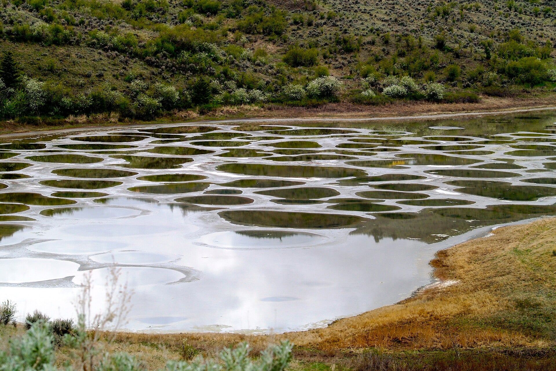 Spotted Lake with circular mineral deposits in a grassy valley.