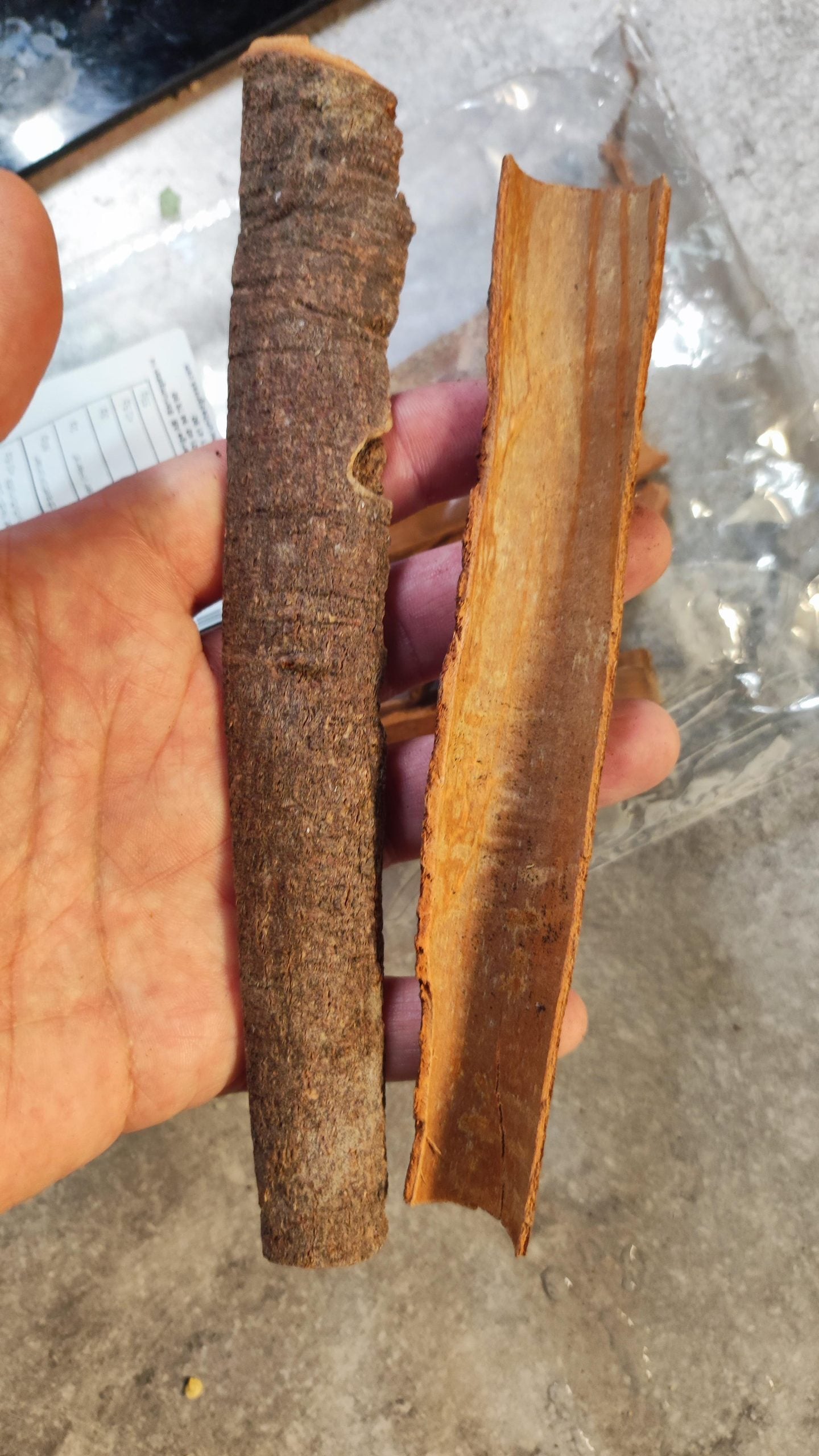 A hand holding two large pieces of cinnamon bark, showing the rough outer texture and smooth inner side.