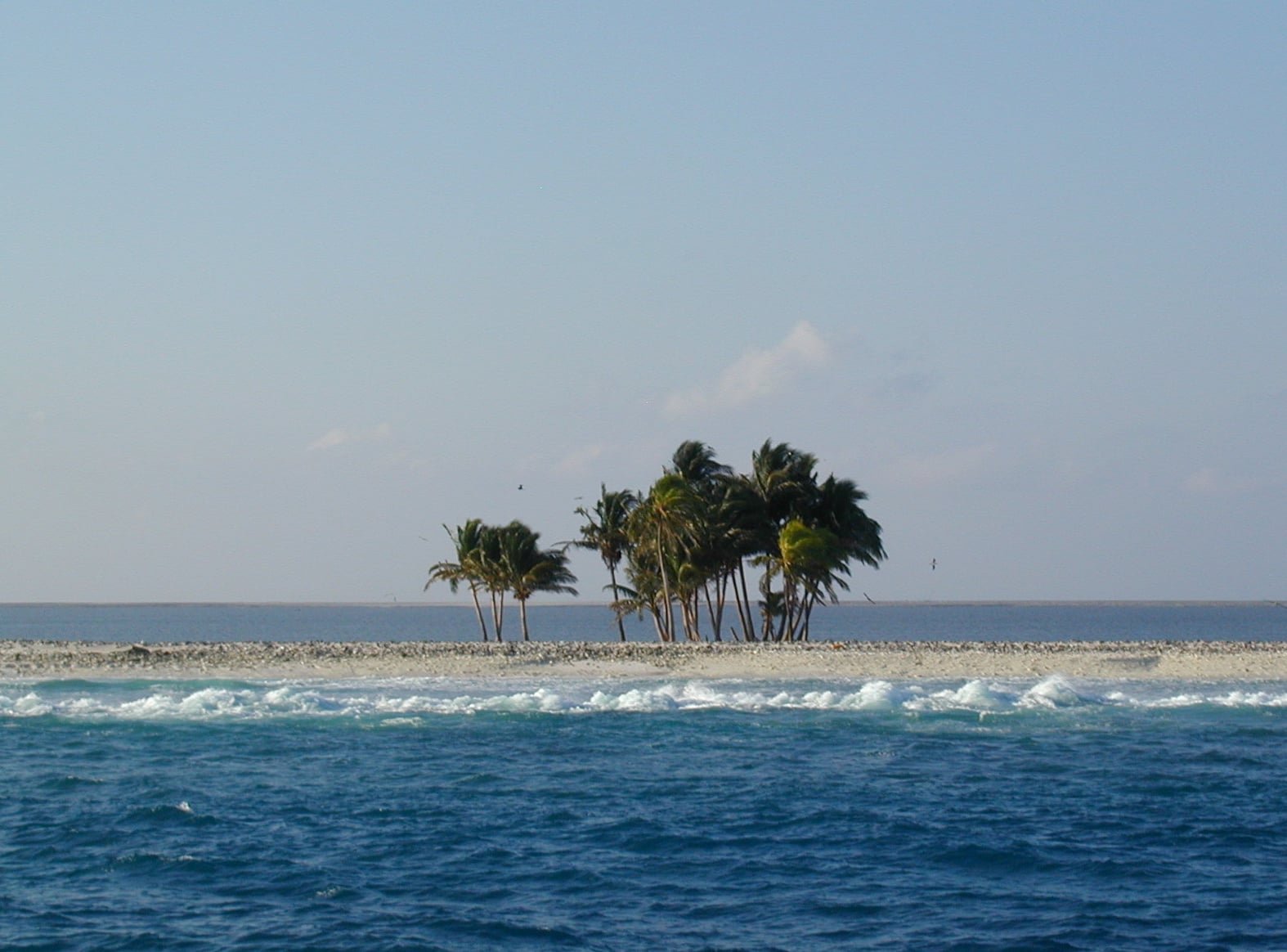 A small, low-lying island with a cluster of palm trees sits in the middle of a calm ocean, with waves breaking on the shore in the foreground.