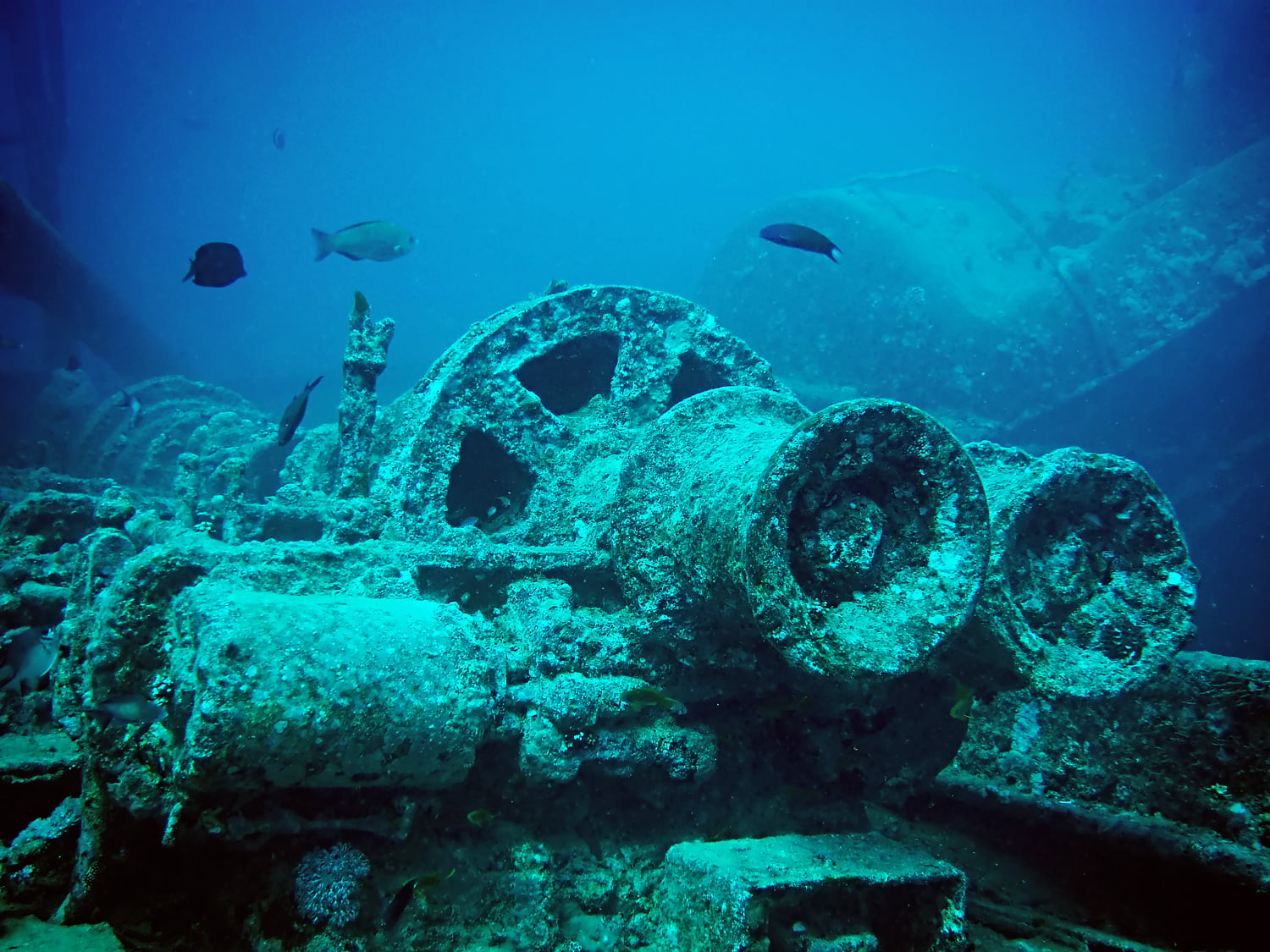 A large, encrusted piece of machinery from a shipwreck resting on the ocean floor, with several small fish swimming nearby.