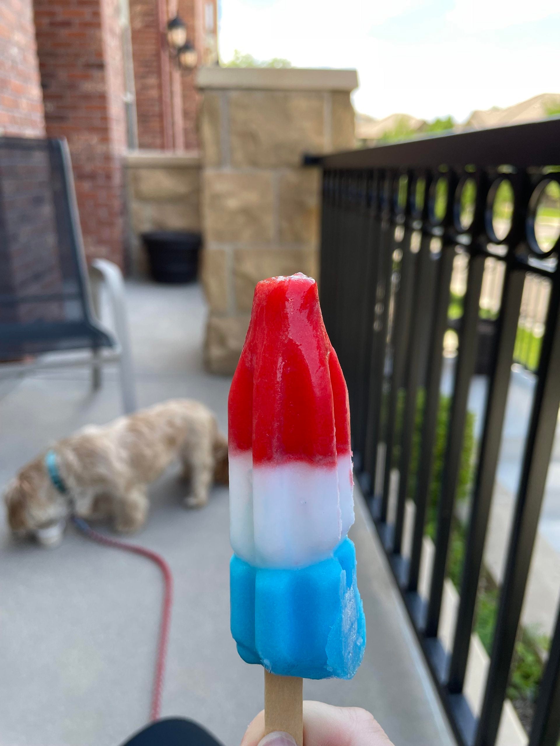 A red, white, and blue rocket-shaped popsicle held in front of a patio with a dog in the background.