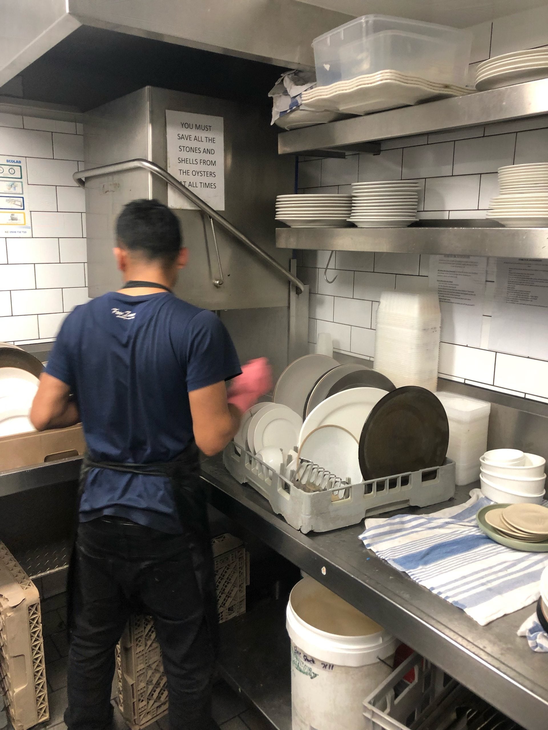 A person in a blue shirt and black apron washing dishes in a commercial kitchen next to a sign that reads, “YOU MUST SAVE ALL THE STONES AND SHELLS FROM THE OYSTERS AT ALL TIMES.”