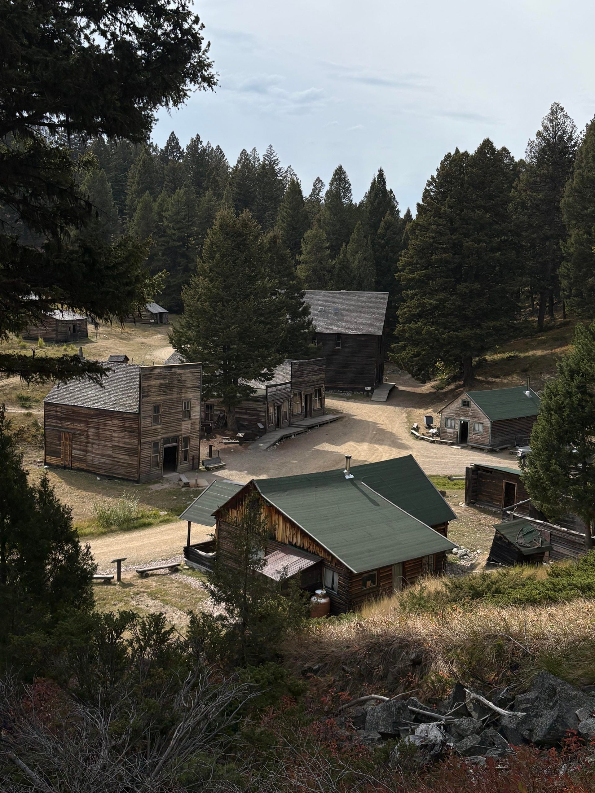 A collection of historic wooden buildings nestled in a pine forest clearing.