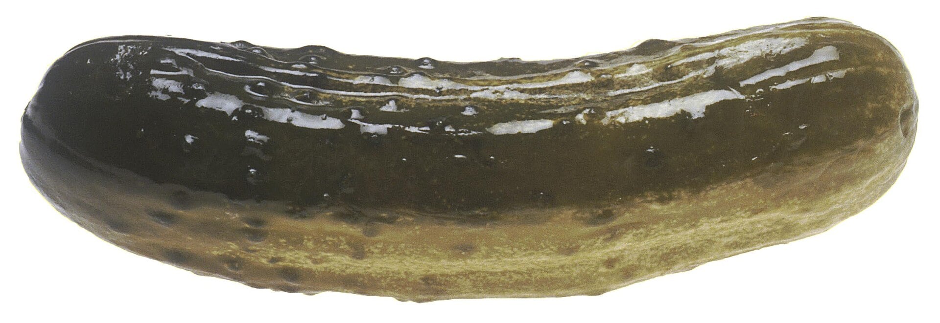 A single whole dill pickle, shiny and bumpy, shown against a white background.