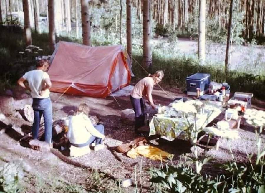 Three people camping at a site with an orange tent, a picnic table, and a cooler in a wooded area.