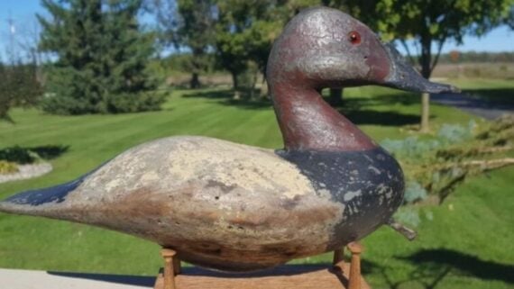A weathered wooden duck decoy with a dark head and light-colored body, mounted on a small stand.