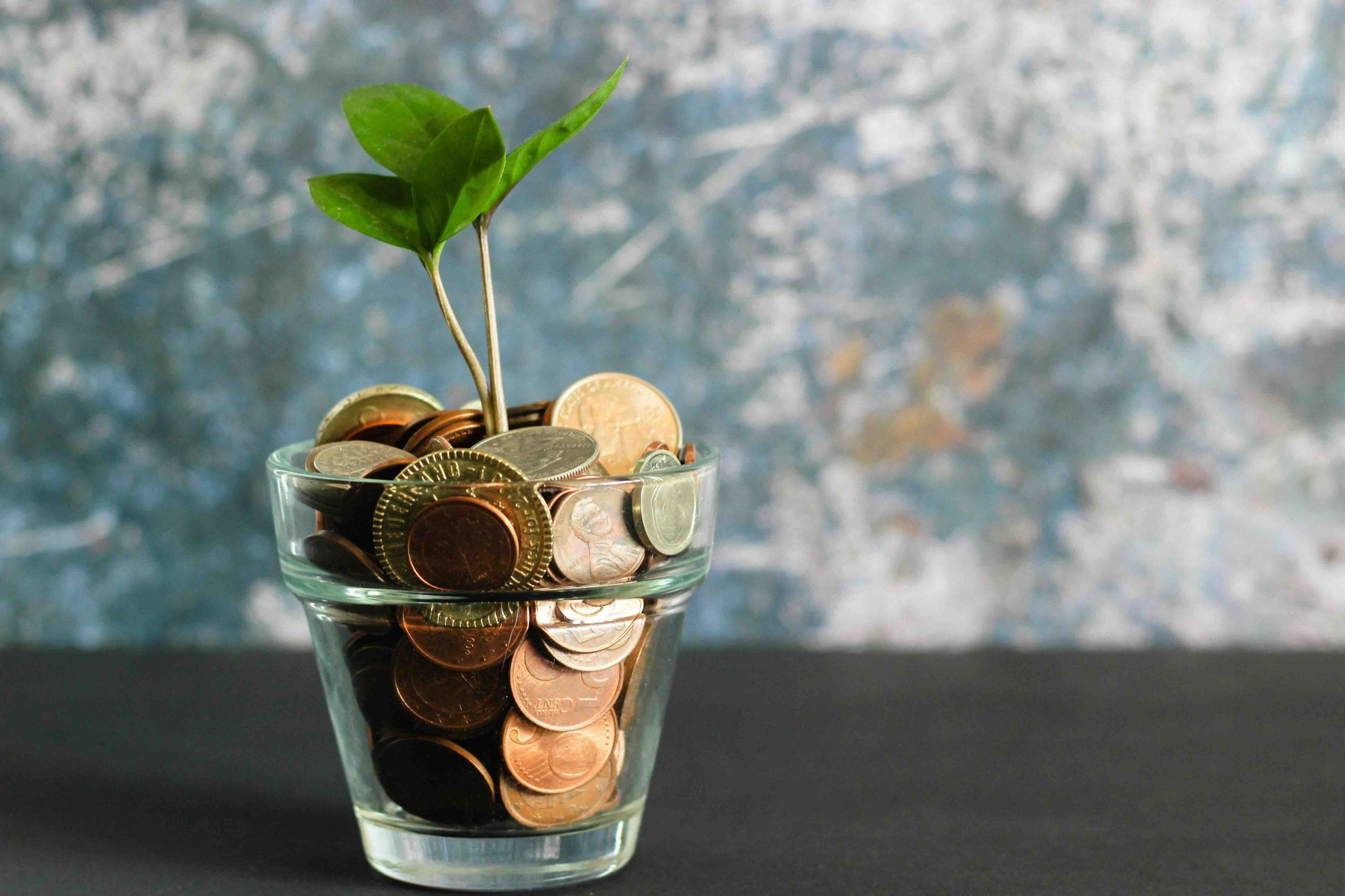 A small green plant growing out of a glass jar filled with assorted coins.