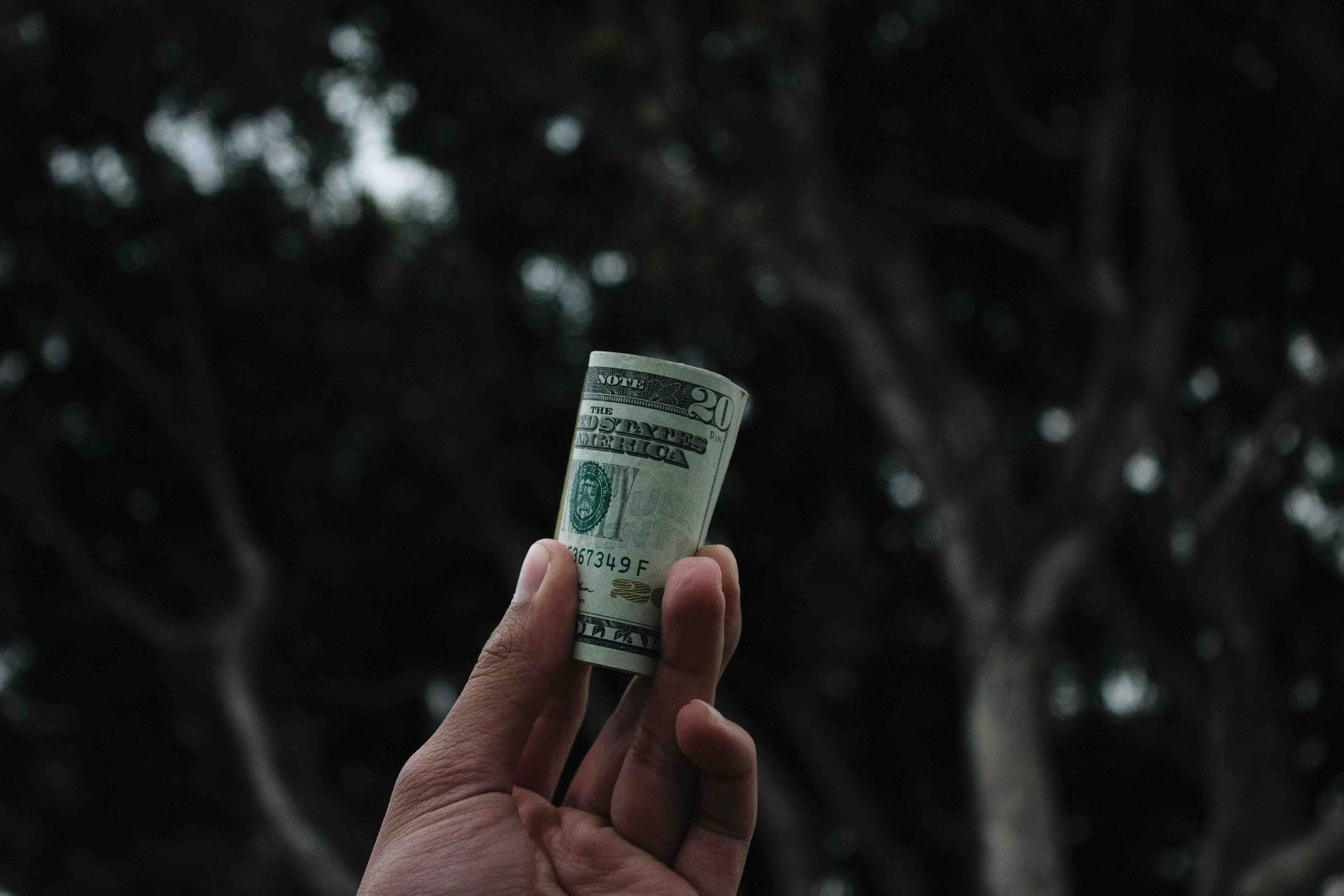 A hand holding a rolled-up twenty-dollar bill against a dark, blurred background of tree branches.