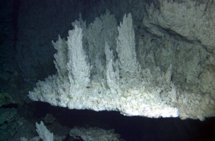 White, craggy rock formations extending horizontally from a dark cave wall.
